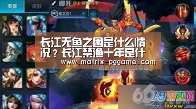 长江无鱼之困是什么情况?长江禁渔十年是什么原因?:pg电子官网(图2) pg电子官网