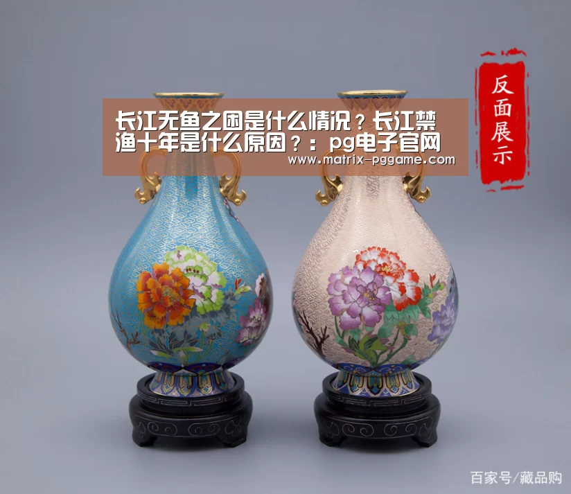 长江无鱼之困是什么情况?长江禁渔十年是什么原因?:pg电子官网(图3) pg电子官网