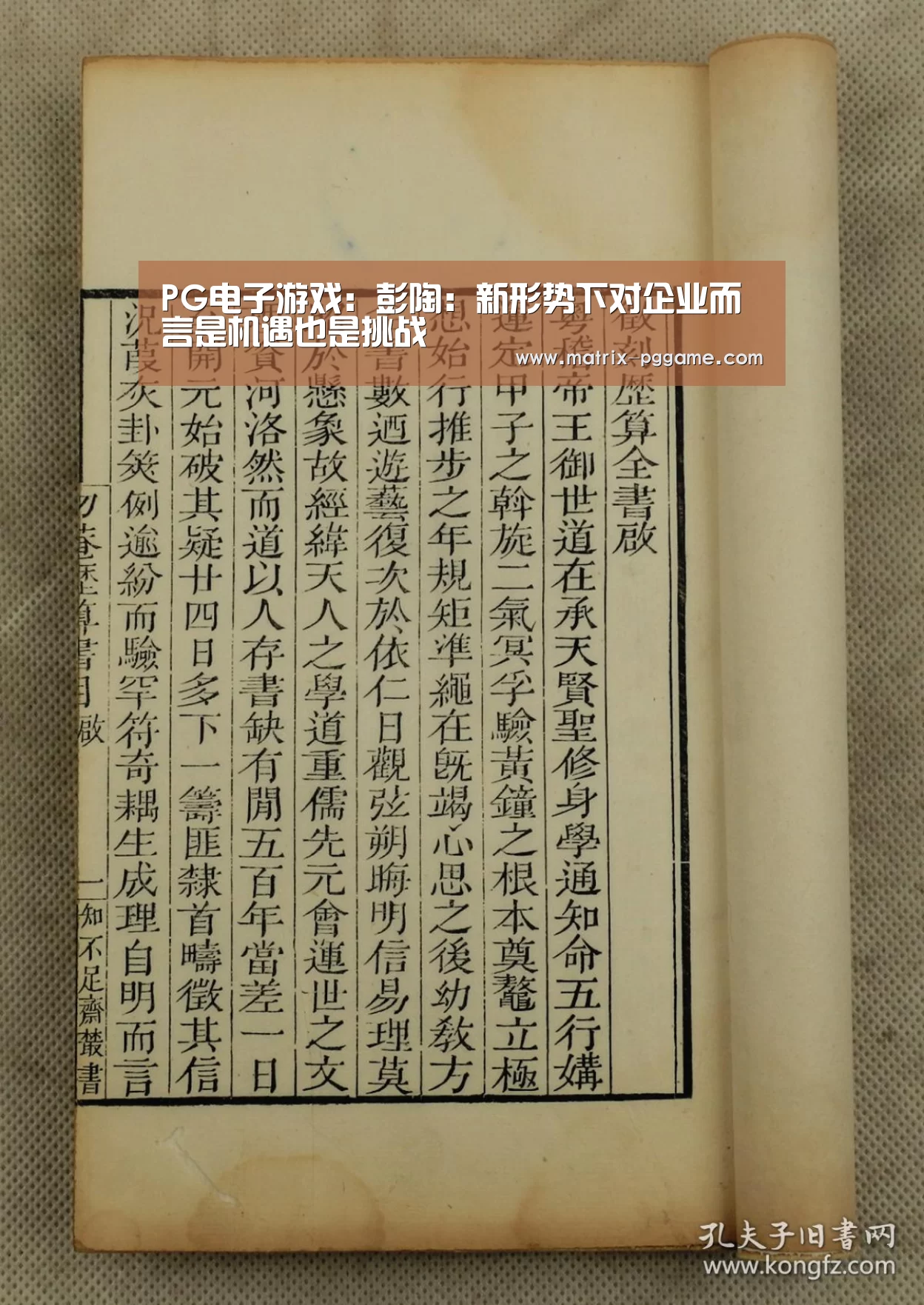 PG电子游戏:彭陶:新形势下对企业而言是机遇也是挑战(图3) PG电子中国